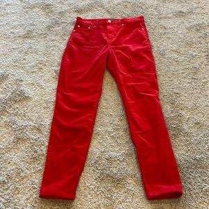 Banana Rebublic red uncut cord pants